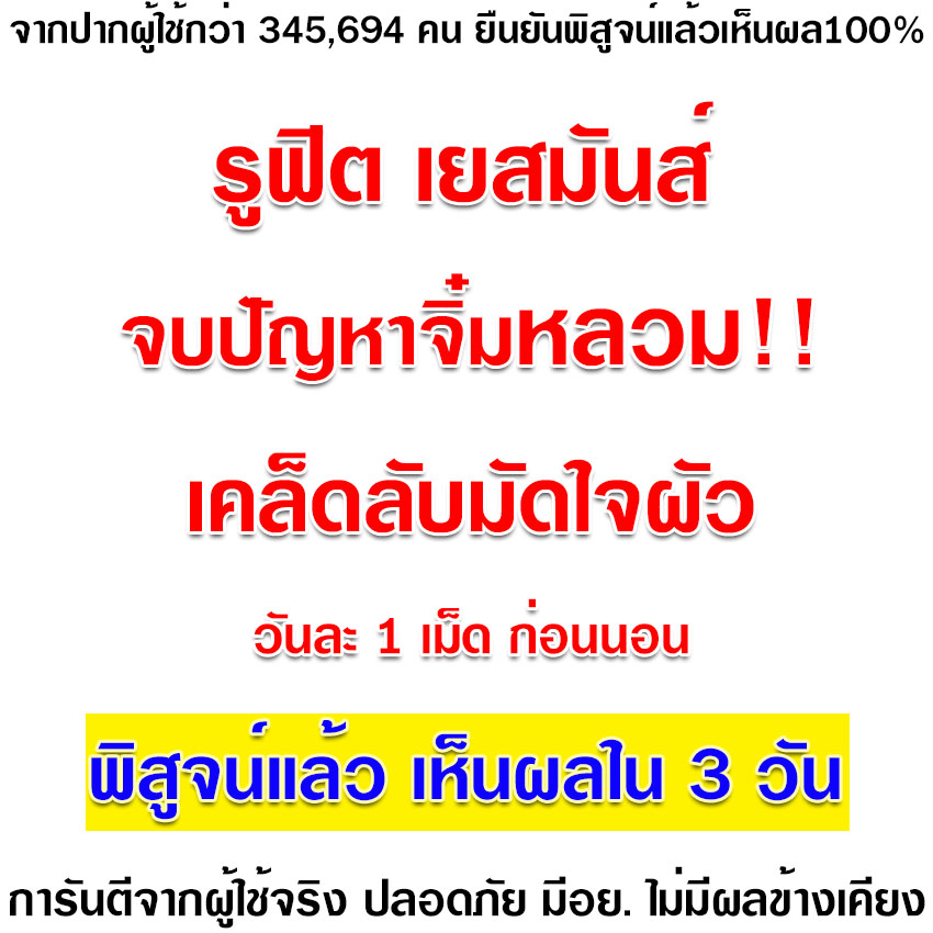 ปกใหม่19
