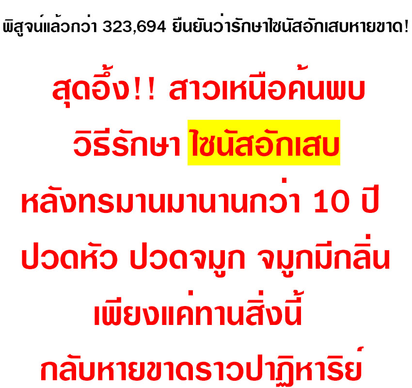 ไซนัสใหม่1 81