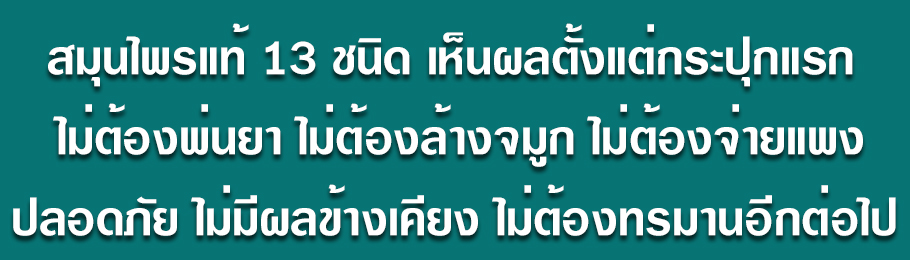 บทความ
